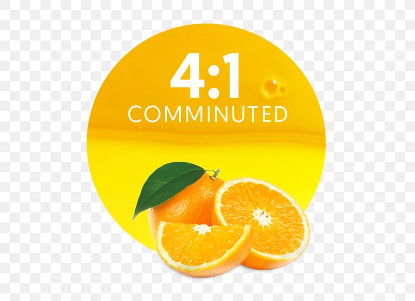 Orange Juice Vegetarian Cuisine Lemonade Tangelo, PNG, 536x595px, Orange Juice, Blood Orange, Brand, Citric Acid, Citrus Download Free