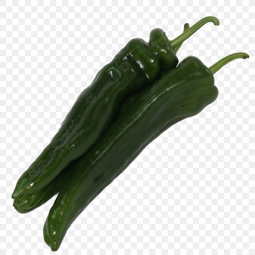 Serrano Pepper Pasilla Bell Pepper Chili Pepper Pimiento, PNG, 1024x1024px, Serrano Pepper, Bell Pepper, Bell Peppers And Chili Peppers, Capsicum Annuum, Cayenne Pepper Download Free