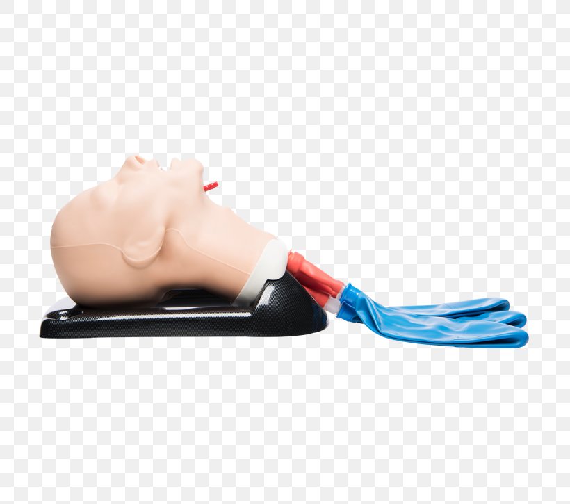 Tracheal Intubation Airway Management Mannequin Nasopharyngeal Airway Medicine, PNG, 725x725px, Tracheal Intubation, Abdomen, Adult, Airway Management, Arm Download Free
