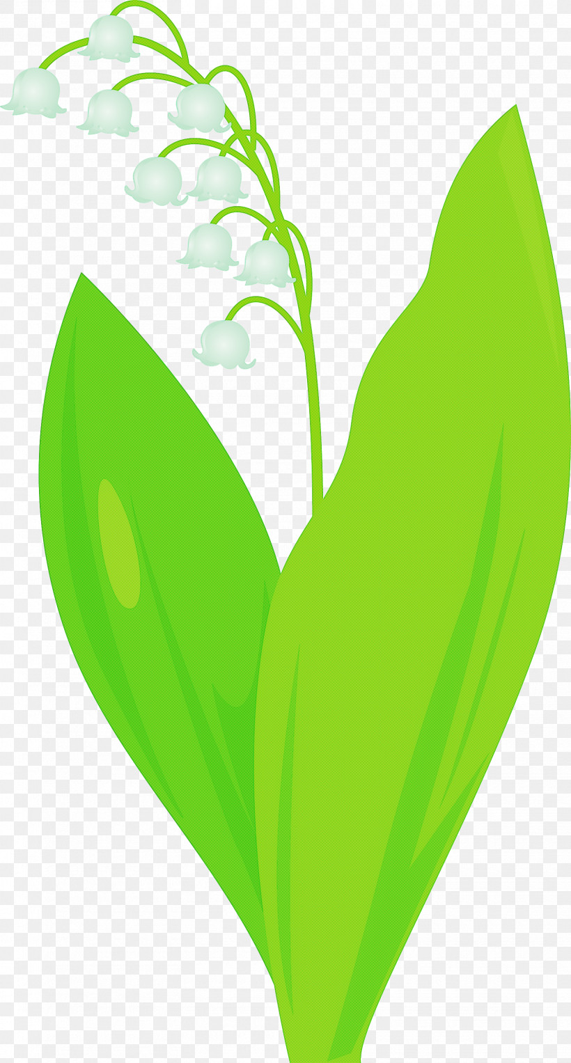 Lily Bell Flower, PNG, 1610x3000px, Lily Bell, Anthurium, Flower, Green, Heart Download Free