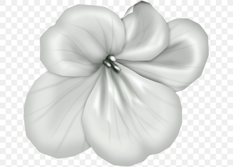 Petal White Mallows Cut Flowers, PNG, 653x586px, Petal, Black And White, Cut Flowers, Family, Flower Download Free