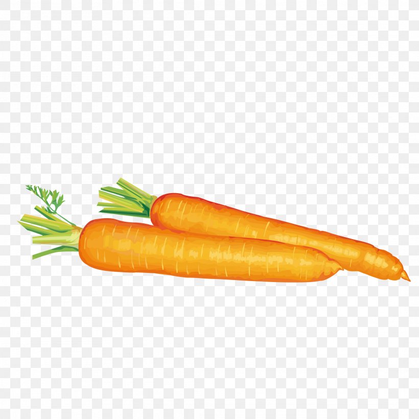Carrot Free Content Clip Art, PNG, 2126x2126px, Carrot, Baby Carrot, Bockwurst, Food, Free Content Download Free