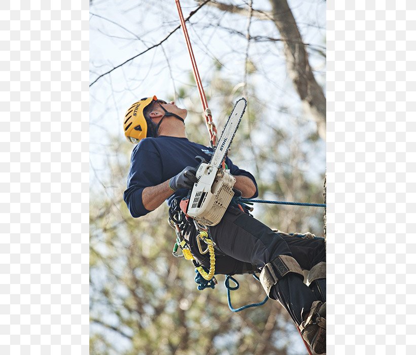 Climbing Harnesses Belay & Rappel Devices Belaying Tree Safety Harness, PNG, 700x700px, Climbing Harnesses, Adventure, Adventure Film, Belay Device, Belay Rappel Devices Download Free