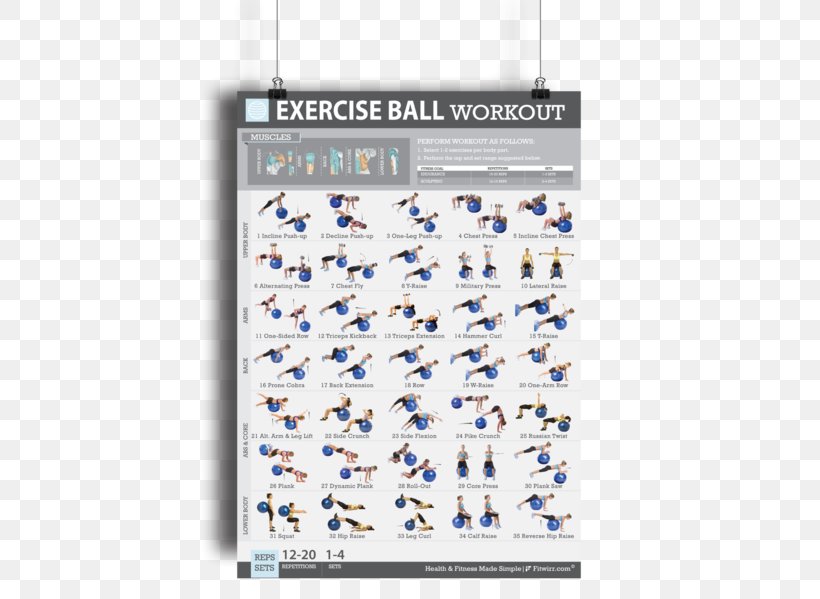 Exercise Balls Bodyweight Exercise Fitness Centre Exercise Bands, PNG, 461x599px, Exercise Balls, Abdominal Exercise, Blue, Bodyweight Exercise, Core Download Free