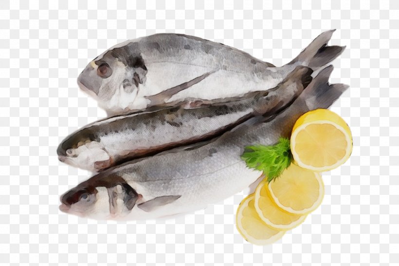 Fish Seafood Food Fish Oily Fish, PNG, 1000x667px, Watercolor, Fish, Food, Oily Fish, Paint Download Free