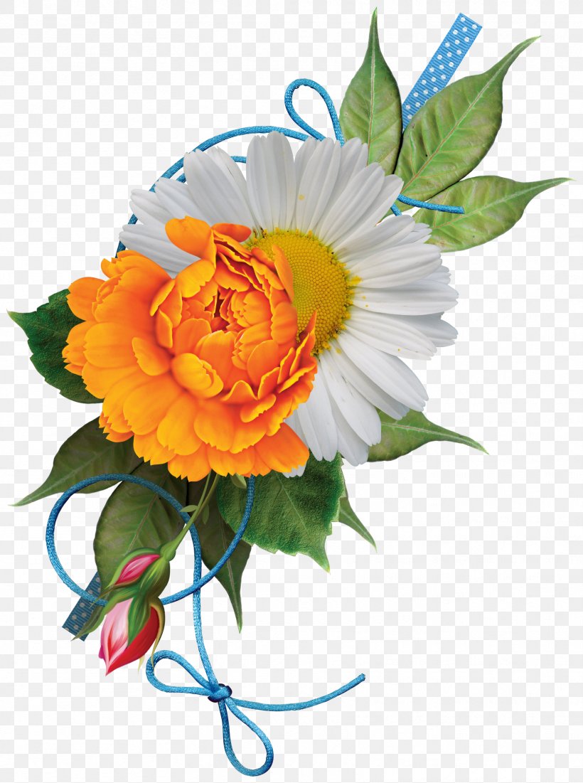 Floral Design Flower Silhouette, PNG, 1666x2238px, Floral Design, Cartoon, Cut Flowers, Daisy Family, Floristry Download Free