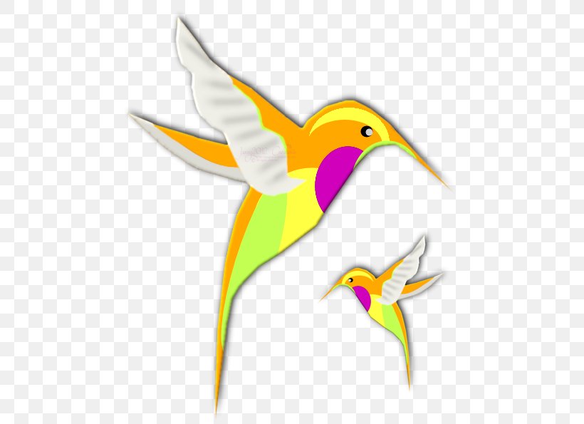 Hummingbird Beak Clip Art, PNG, 480x595px, Hummingbird, Art, Beak, Bird, Drawing Download Free