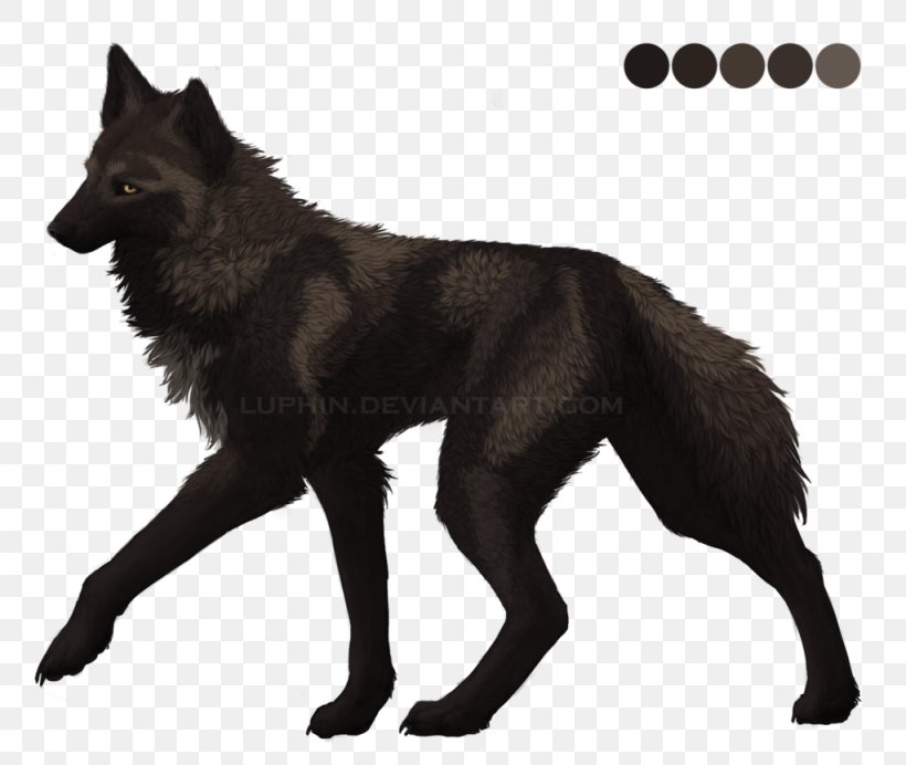 Kunming Wolfdog Tervuren Schipperke Dog Breed, PNG, 1024x865px, Kunming Wolfdog, Breed, Carnivoran, Dog, Dog Breed Download Free