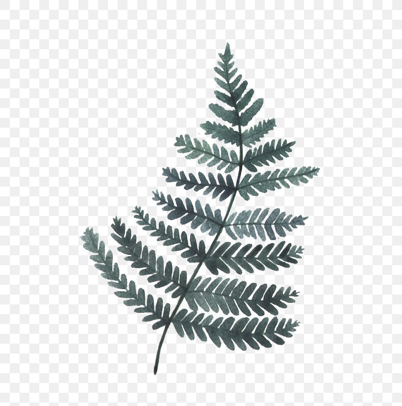 Watercolor Painting Leaf Illustration, PNG, 583x827px, Watercolor Painting, Black And White, Branch, Cartoon, Christmas Tree Download Free