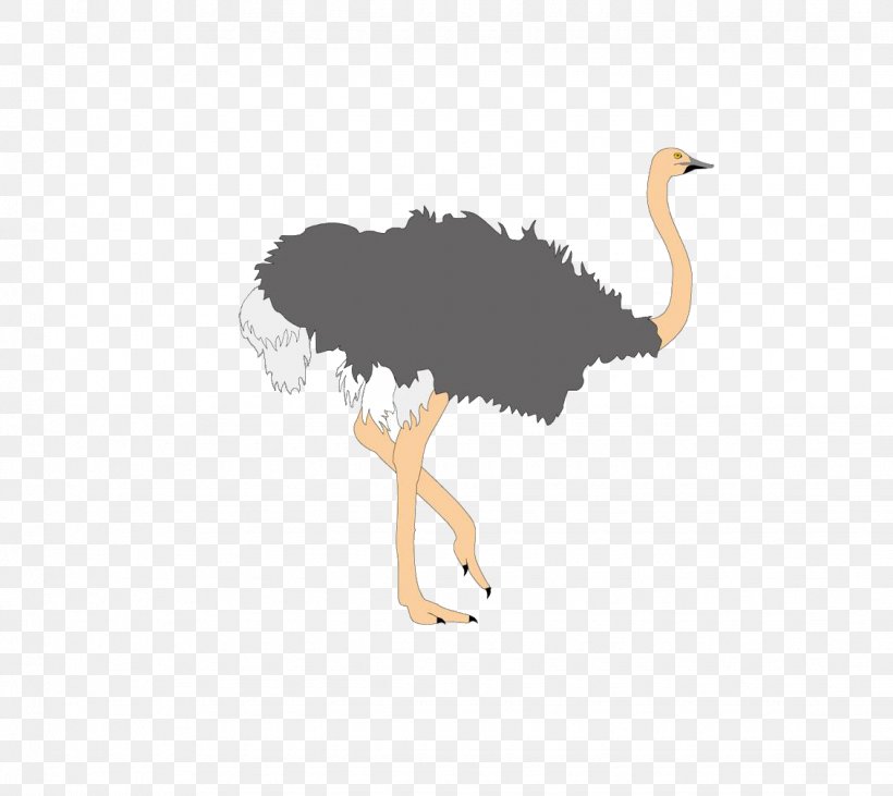 Common Ostrich Bird Cartoon, PNG, 1130x1008px, Common Ostrich, Animal, Beak, Bird, Cartoon Download Free