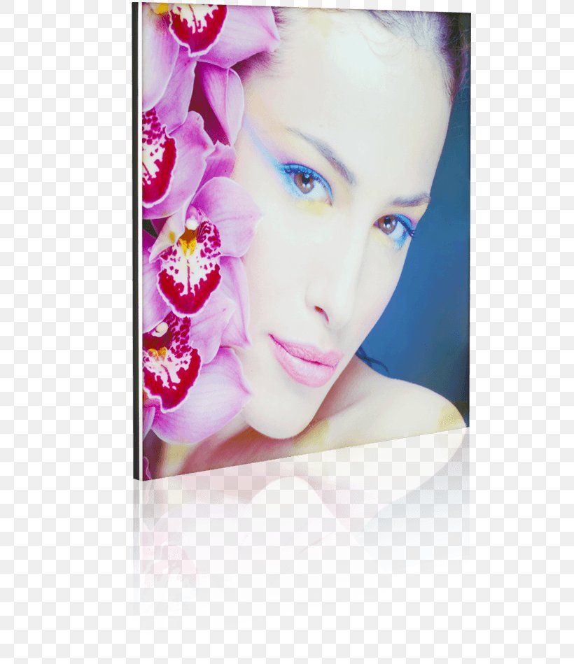 Gasp Lite Cheek Lighting Panel Eyebrow, PNG, 691x949px, Cheek, Beauty, Closeup, Eyebrow, Eyelash Download Free