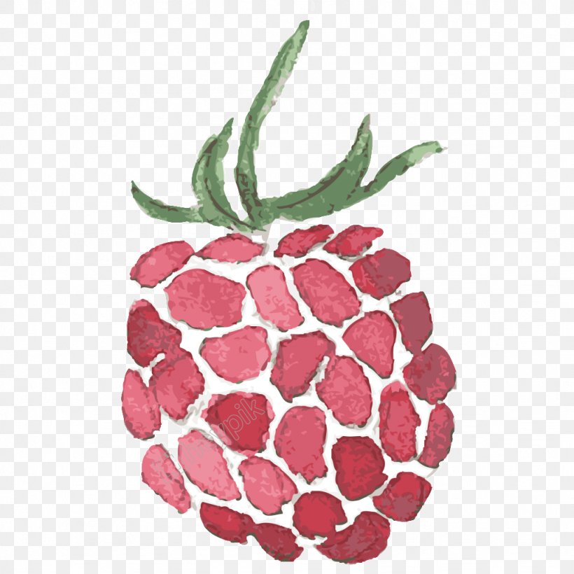 Juice Berries Red Raspberry Strawberry, PNG, 1024x1024px, Juice, Accessory Fruit, Ananas, Berries, Berry Download Free