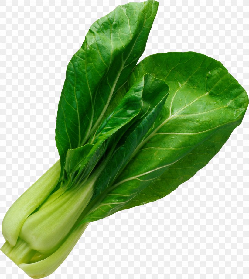Chinese Cabbage Bok Choy Vegetarian Cuisine Vegetable Soup, PNG, 2594x2906px, Salad, Broccoli, Cabbage, Chard, Choy Sum Download Free