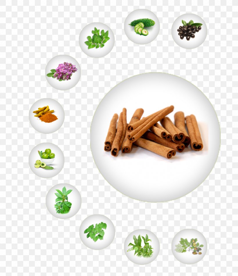 Cinnamomum Verum Cinnamon Spice Tea Production In Sri Lanka Manufacturing, PNG, 990x1150px, Cinnamomum Verum, Anise, Bark, Cinnamomum, Cinnamon Download Free