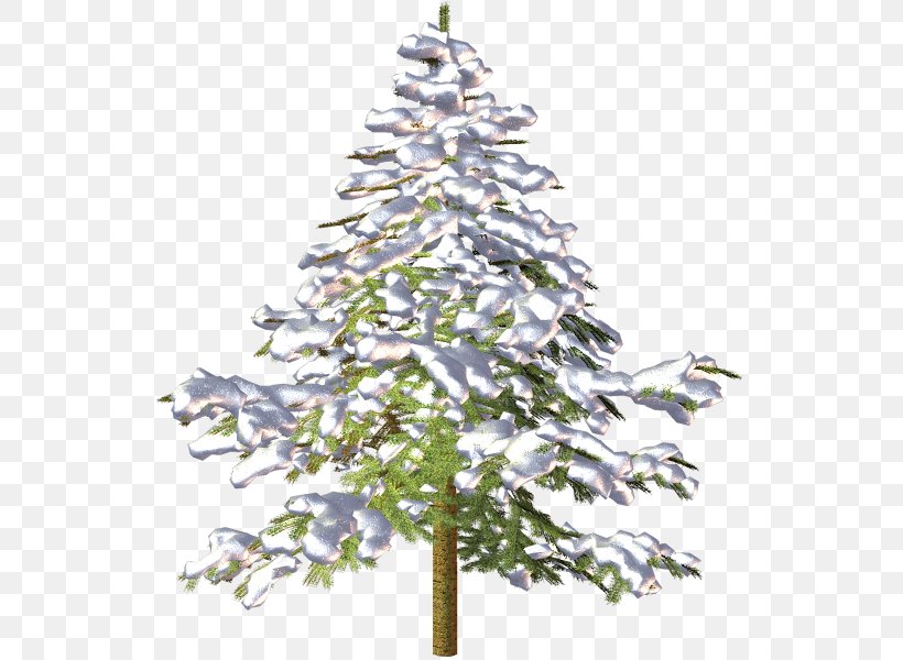 Spruce Christmas Tree Fir Pine, PNG, 550x600px, 2017, Spruce, Add, Autumn, Branch Download Free