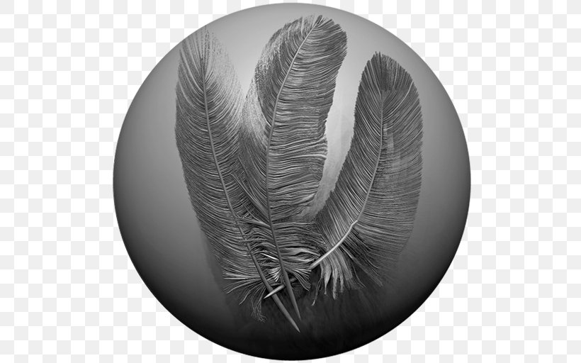 ZBrush Feather Rendering Tutorial Texture Mapping, PNG, 512x512px, Zbrush, Alpha Compositing, Bird, Black And White, Brush Download Free