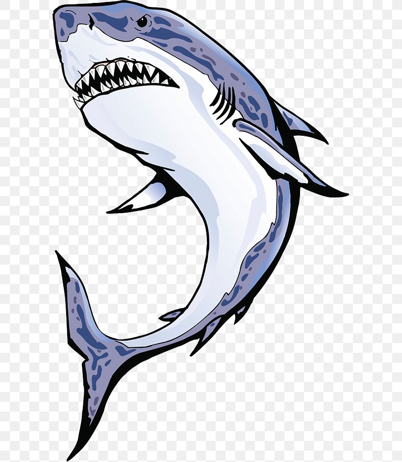 Shark Fin Soup Requiem Shark Clip Art, PNG, 606x943px, Shark, Automotive Design, Cartilaginous Fish, Dolphin, Drawing Download Free