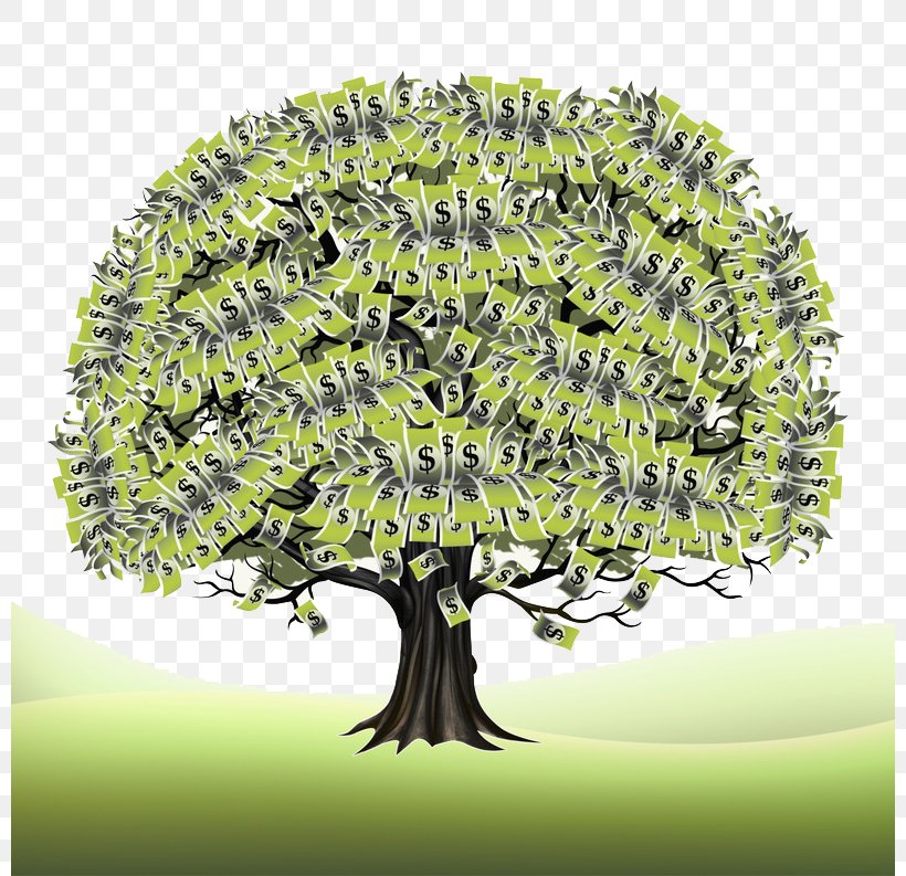 Branch Stock Photography Tree Finance, PNG, 800x793px, Branch, Alamy, Coin, Creativity, Finance Download Free