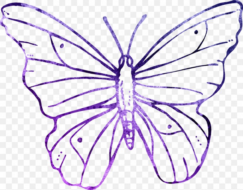 Butterfly Clip Art, PNG, 1021x800px, Butterfly, Art, Artwork, Black And White, Brush Footed Butterfly Download Free