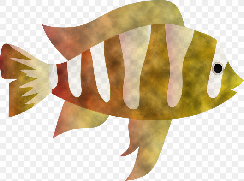 Fish Biology Science, PNG, 3000x2222px, Fish, Biology, Science Download Free