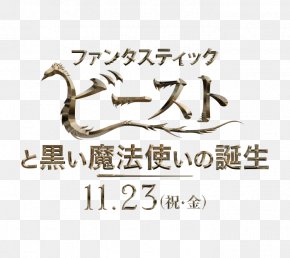Harry Potter - Newt Scamander Harry Potter ã€Žãƒ•ã‚¡ãƒ³ã‚¿ã‚¹ãƒ†ã‚£ãƒƒã‚¯ãƒ“ãƒ¼ã‚¹ãƒˆã¨é­”æ³•ä½¿ã„ã®æ—…ã€å…¬èªã¬ã‚Šãˆãƒ–ãƒƒã‚¯: é­”æ³•å‹•ç‰©ãŸã¡ Film 0 PNG