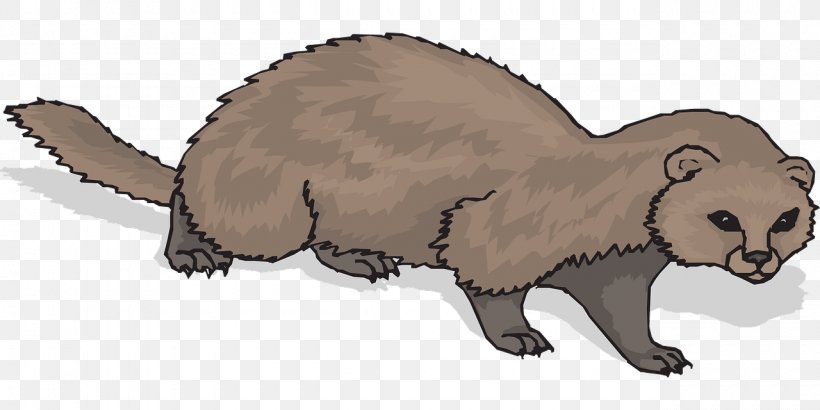 Black-footed Ferret Cat Pet Clip Art, PNG, 1280x640px, Ferret, Animal Figure, Bear, Beaver, Blackfooted Ferret Download Free