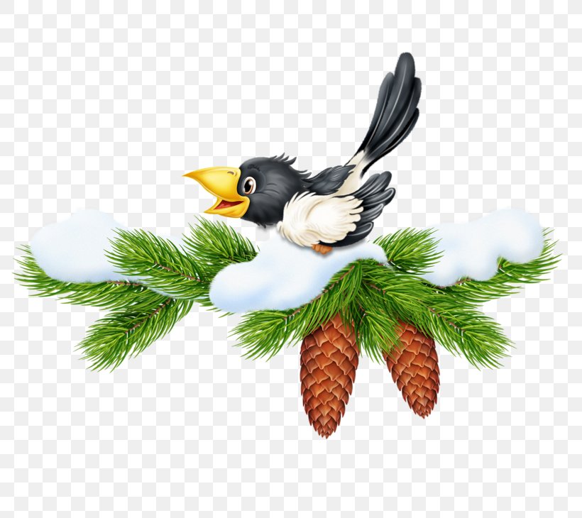 Christmas Gift New Year, PNG, 800x730px, Pine, Beak, Bird, Branch, Christmas Download Free