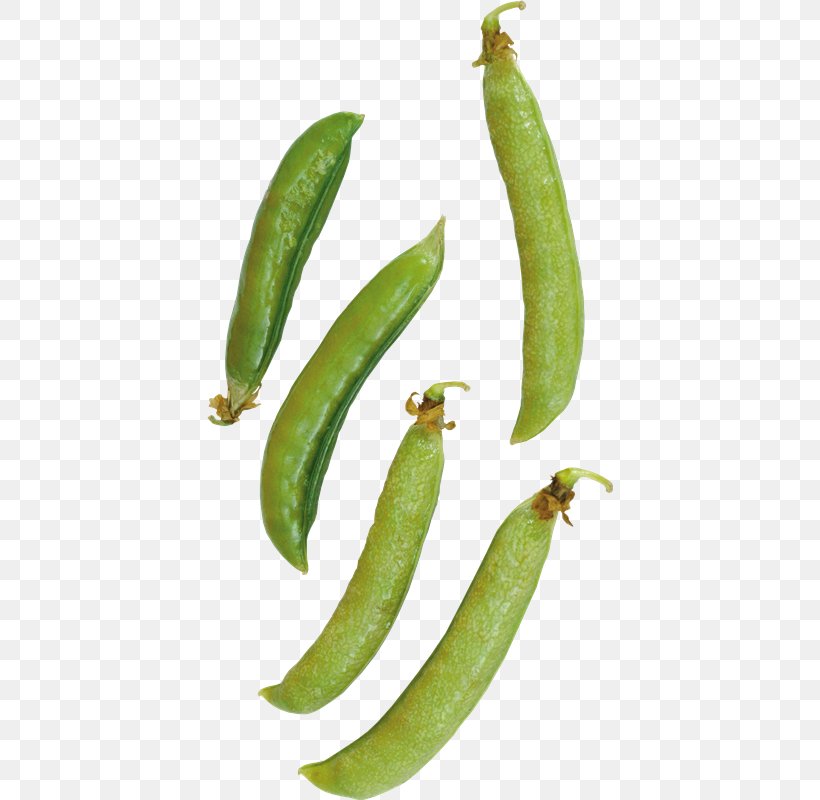 Green Pea Image Bean, PNG, 406x800px, Green Pea, Bean, Bell Peppers And Chili Peppers, Broad Bean, Chili Pepper Download Free