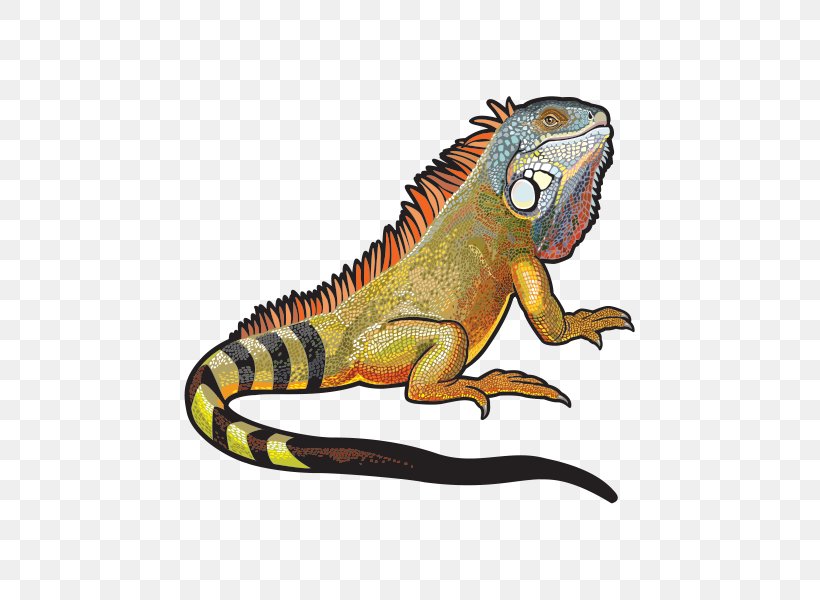 Chameleon Background, PNG, 600x600px, Common Iguanas, Amphibian, Animal, Animal Figure, Art Download Free
