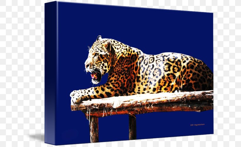 Leopard Jaguar God Tiger Wildlife, PNG, 650x500px, Leopard, Animal, Art, Big Cats, Canvas Print Download Free