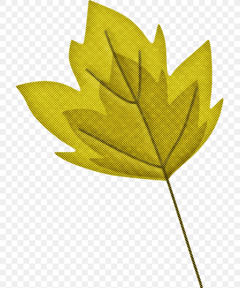 Maple Leaf, PNG, 711x983px, Leaf, Black Maple, Flowering Plant, Maple Leaf, Plane Download Free