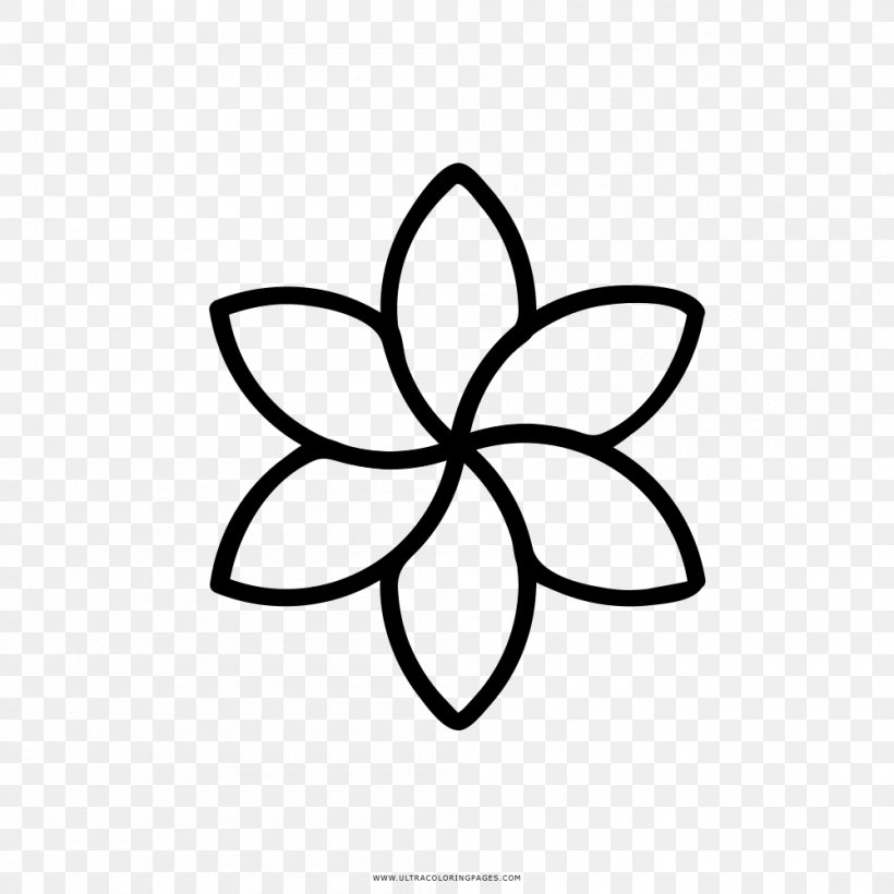 Aparthotel Orquídea Ibiza Drawing Celtic Knot Business, PNG, 1000x1000px, Drawing, Area, Art, Artwork, Black And White Download Free