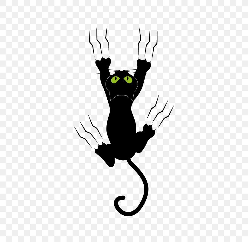 Cat Kitten Wall Decal, PNG, 800x800px, Cat, Black, Black Cat, Carnivoran, Cat Like Mammal Download Free
