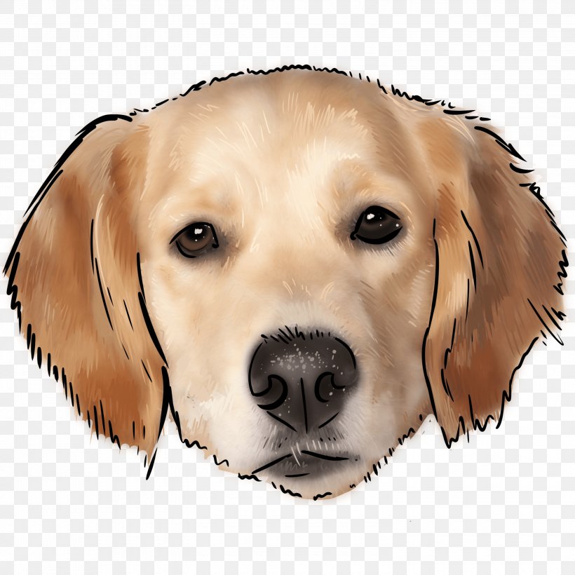 Golden Retriever Labrador Retriever Puppy Dog Breed Companion Dog, PNG, 3000x3000px, Golden Retriever, Bark, Beagador, Border Collie, Canidae Download Free