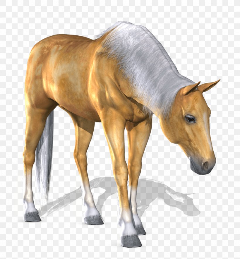 Horse Computer File, PNG, 900x972px, Horse, Colt, Equestrian, Equus, Foal Download Free