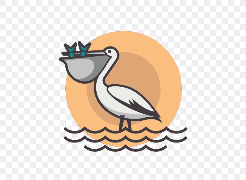 Pelican Adobe Illustrator Illustration, PNG, 800x600px, Pelican, Animal, Beak, Behance, Bird Download Free