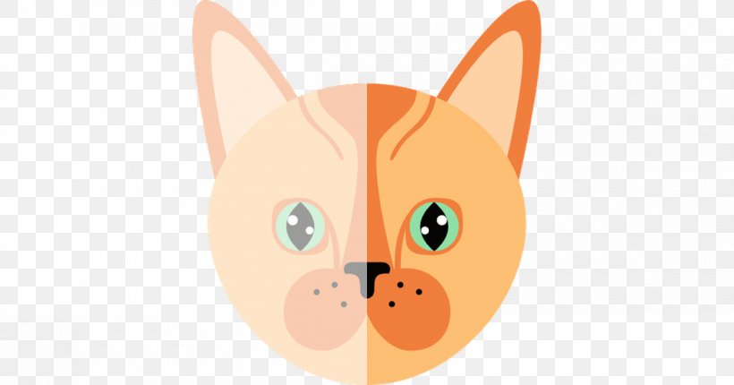 Whiskers Cat Dog Clip Art Snout, PNG, 1200x630px, Whiskers, Canidae, Carnivoran, Cartoon, Cat Download Free