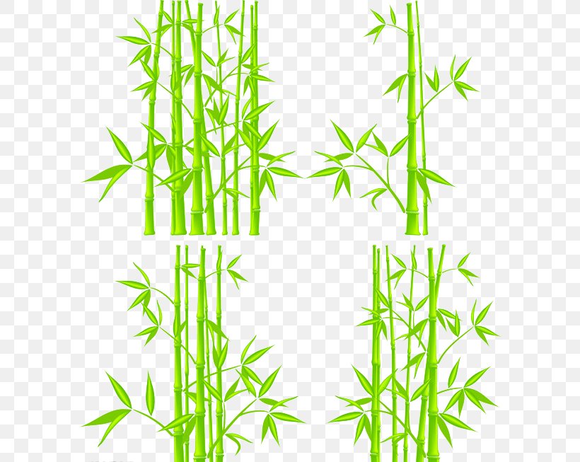 Bamboo Royalty-free Clip Art, PNG, 600x653px, Bamboo, Aquarium Decor, Drawing, Grass, Grass Family Download Free