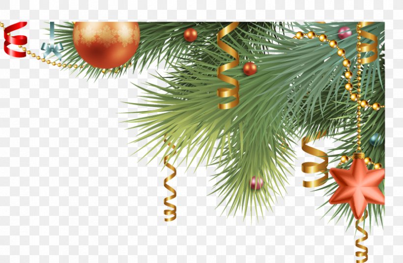Christmas Ornament Christmas Tree Christmas Card, PNG, 830x543px, Christmas Ornament, Branch, Christmas, Christmas Card, Christmas Decoration Download Free