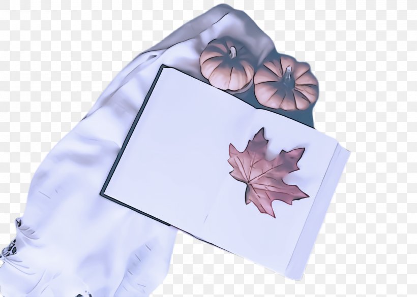 Maple Leaf, PNG, 2000x1428px, Leaf, Flower, Maple Leaf, Morning Glory, Paper Download Free