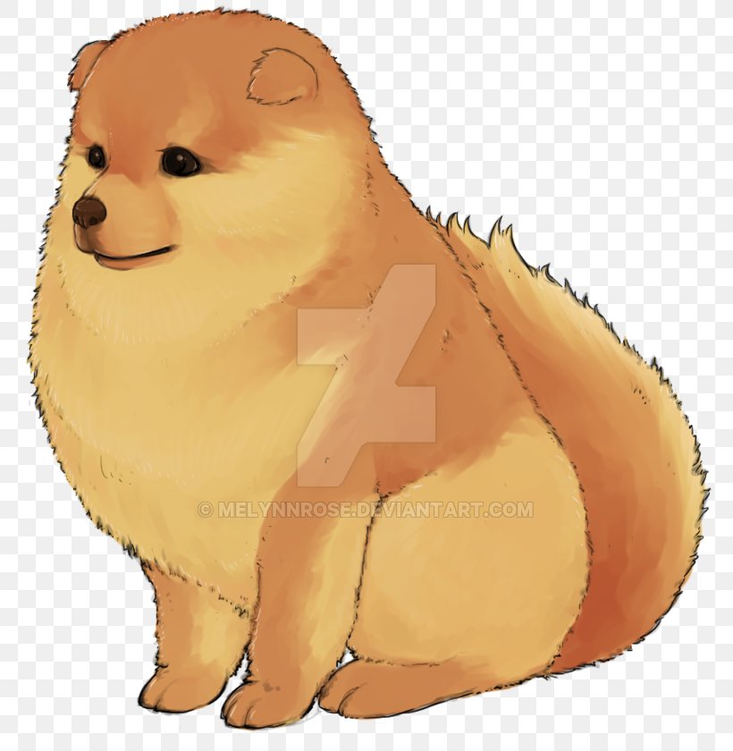 Pomeranian Puppy Dog Breed Whiskers Non-sporting Group, PNG, 800x840px, Pomeranian, Bear, Breed, Breed Group Dog, Carnivoran Download Free