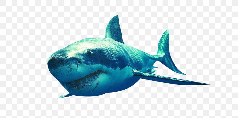 Shark Bruce Clip Art, PNG, 693x408px, Shark, Blue, Bruce, Cartilaginous Fish, Electric Blue Download Free