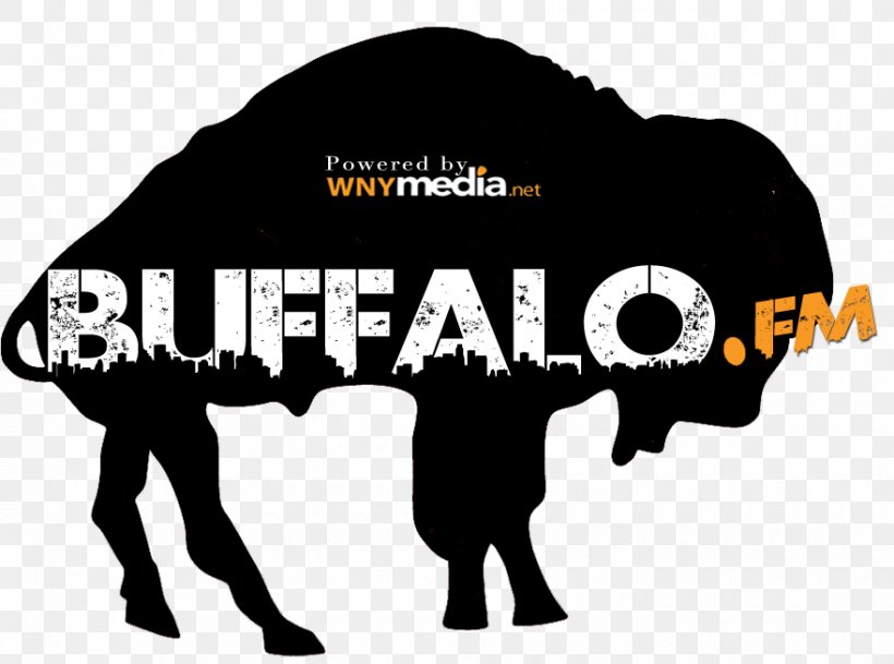 Buffalo Bills 1969 NFL/AFL Draft Detroit Lions, PNG, 880x654px, Buffalo Bills, American Football, American Football League, Brand, Buffalo Download Free