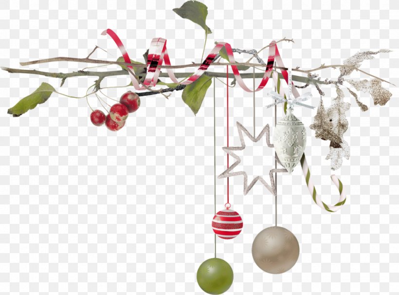 Christmas Ornament, PNG, 1024x758px, Christmas Ornament, Branch, Christmas, Christmas Decoration, Tree Download Free