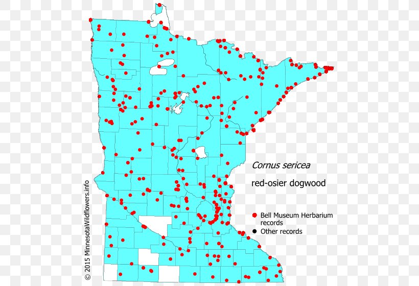 Minnesota Hemlock Reed Canary Grass Map Swamp Milkweed, PNG, 500x560px, Minnesota, Area, Fleabane, Hemlock, Landscape Download Free