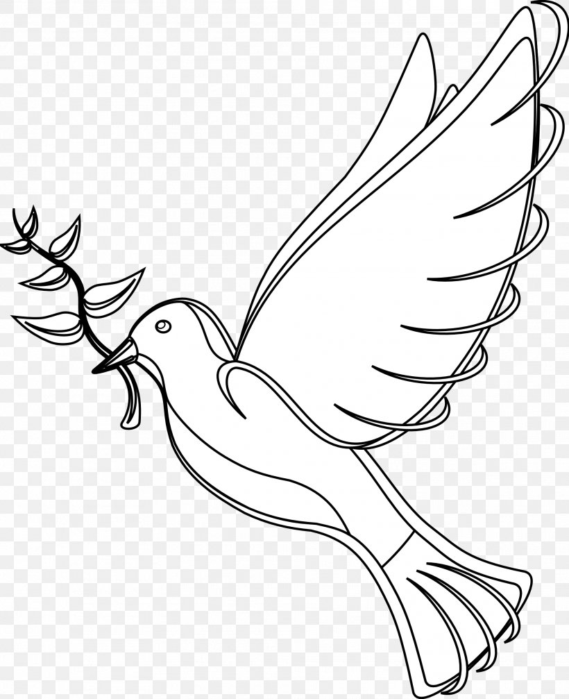 Rock Dove School Day Of Non-violence And Peace Drawing Clip Art, PNG, 1979x2432px, Rock Dove, Area, Art, Artwork, Beak Download Free