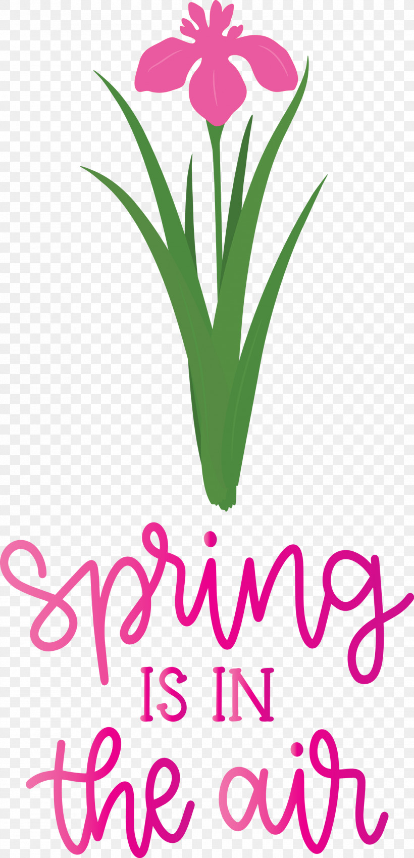 Spring Is In The Air Spring, PNG, 1448x2999px, Spring Is In The Air, Cut Flowers, Flora, Floral Design, Flower Download Free