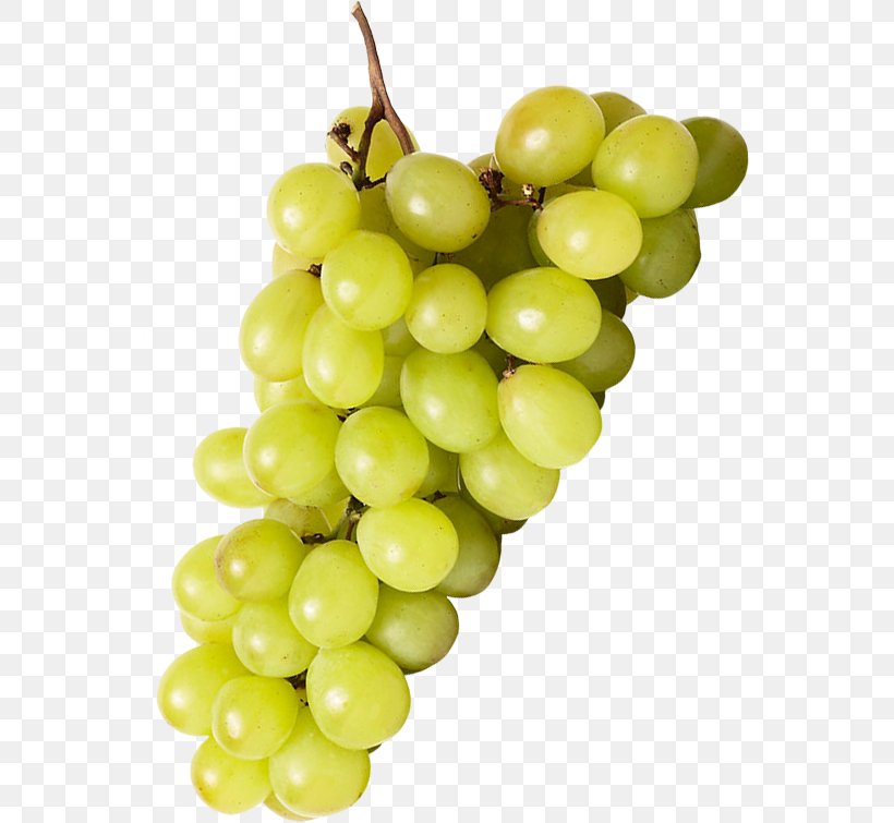 Sultana Wine Common Grape Vine Seedless Fruit, PNG, 555x755px, Sultana, Common Grape Vine, Food, Fruit, Grape Download Free