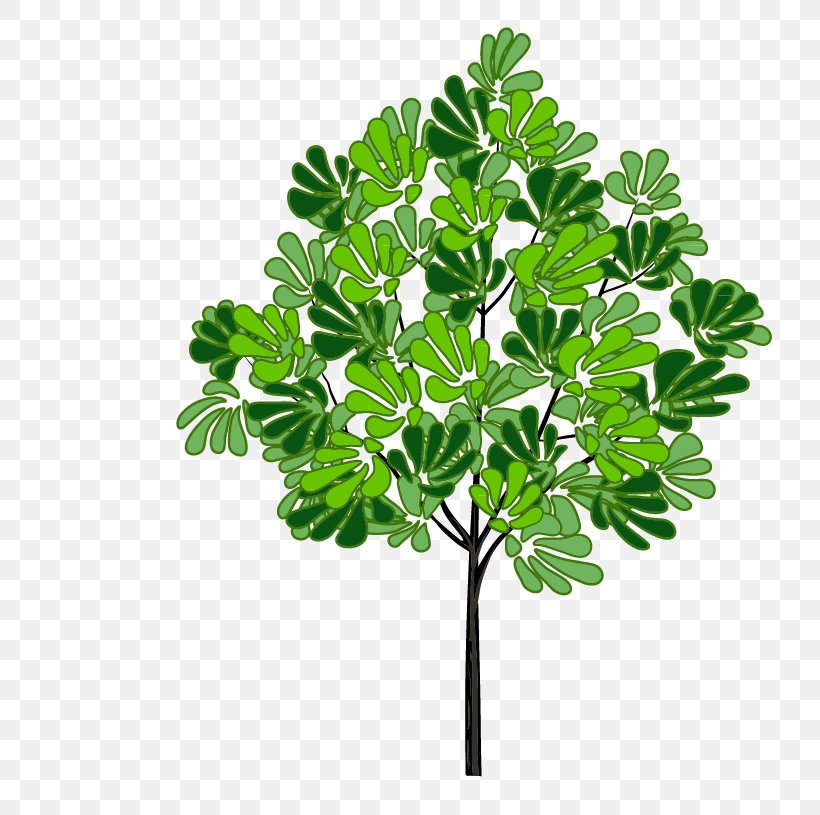 Tree Download Clip Art, PNG, 780x815px, Tree, Branch, Grass, Herb, Leaf Download Free