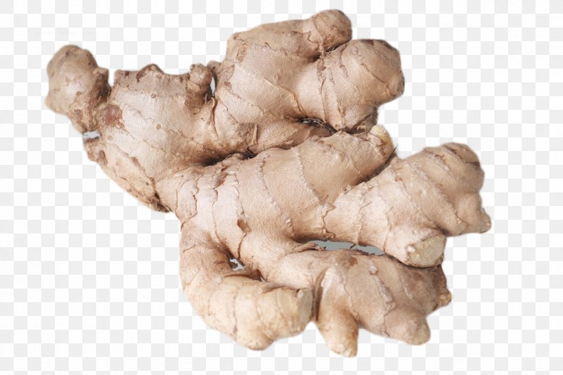 Ginger Eating Food Health Nausea, PNG, 1200x800px, Ginger, Common Cold, Digestion, Disease, Eating Download Free